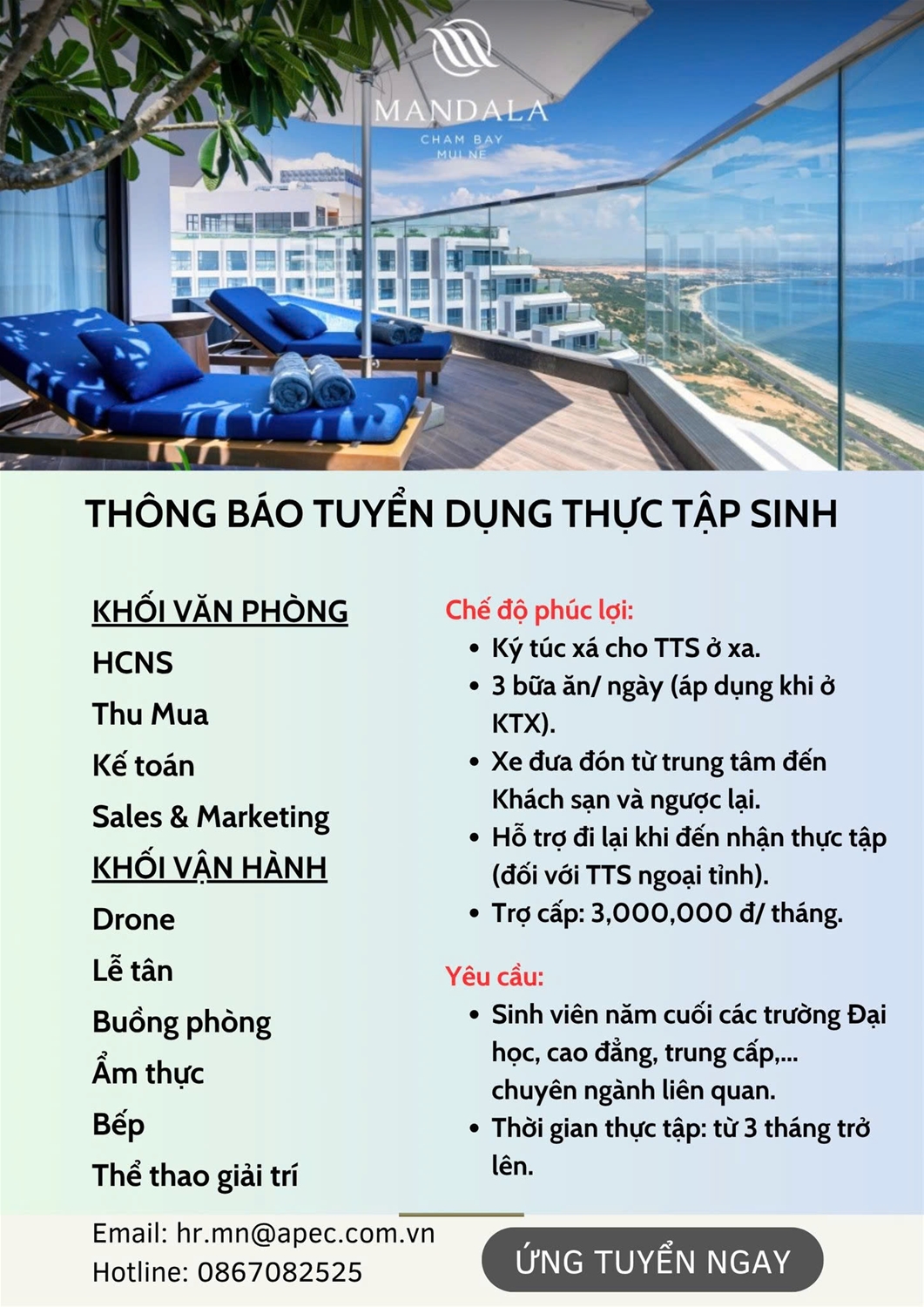 MANDALA TUYỂN DỤNG THỰC TẬP SINH